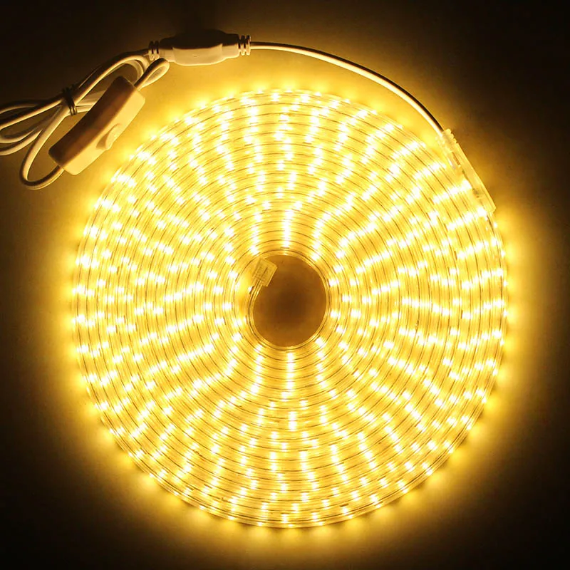 Светодиодный светильник с переключателем вкл/выкл AC220V гибкий светодиодный светильник IP68 водонепроницаемая светодиодная лента 60 Светодиодный s/M наружные Ленточные светодиодные светильники