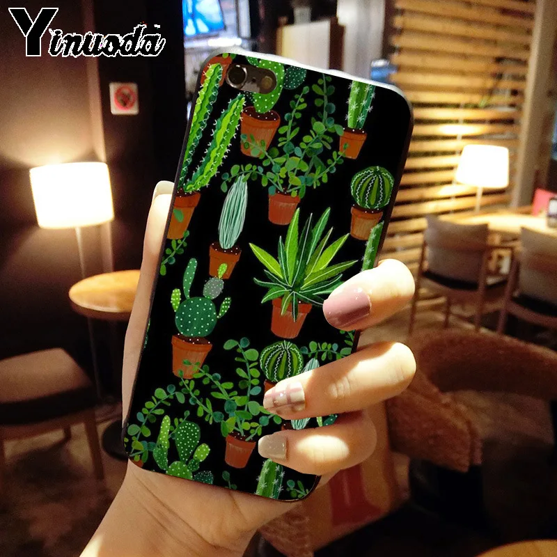 green cactus plant