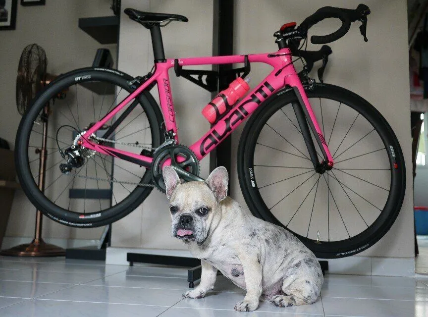 Top 2020 New carbon road bike frame road cycling bicycle frameset oem brand frame clearance frame fork seatpost carbon frame 31 Top 2020 New carbon road bike frame road cycling bicycle frameset oem brand frame clearance frame fork seatpost carbon frame 31