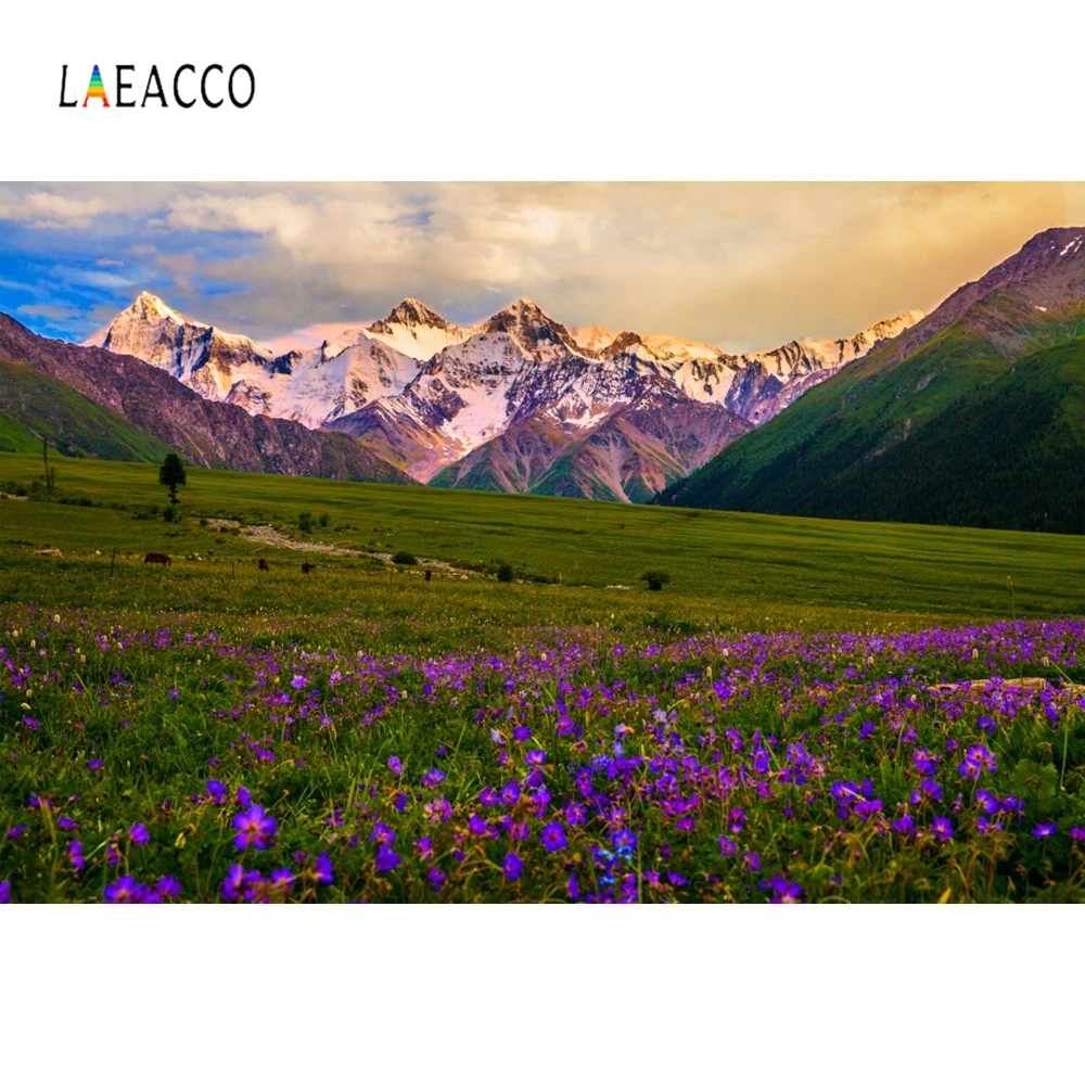 

Laeacco Nature Scenic Backdrop Flowers Iceberg Photography Background Customized Photographic Backdrops For Photo Studio
