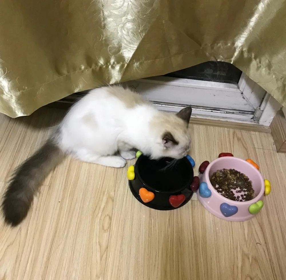 QQ20180613094154