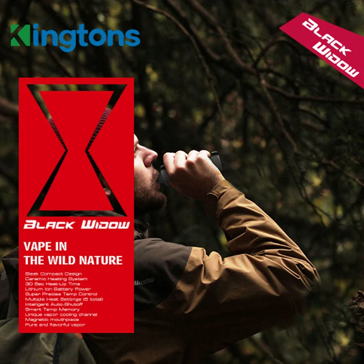 black window kingtons electronic cigarette kit detail