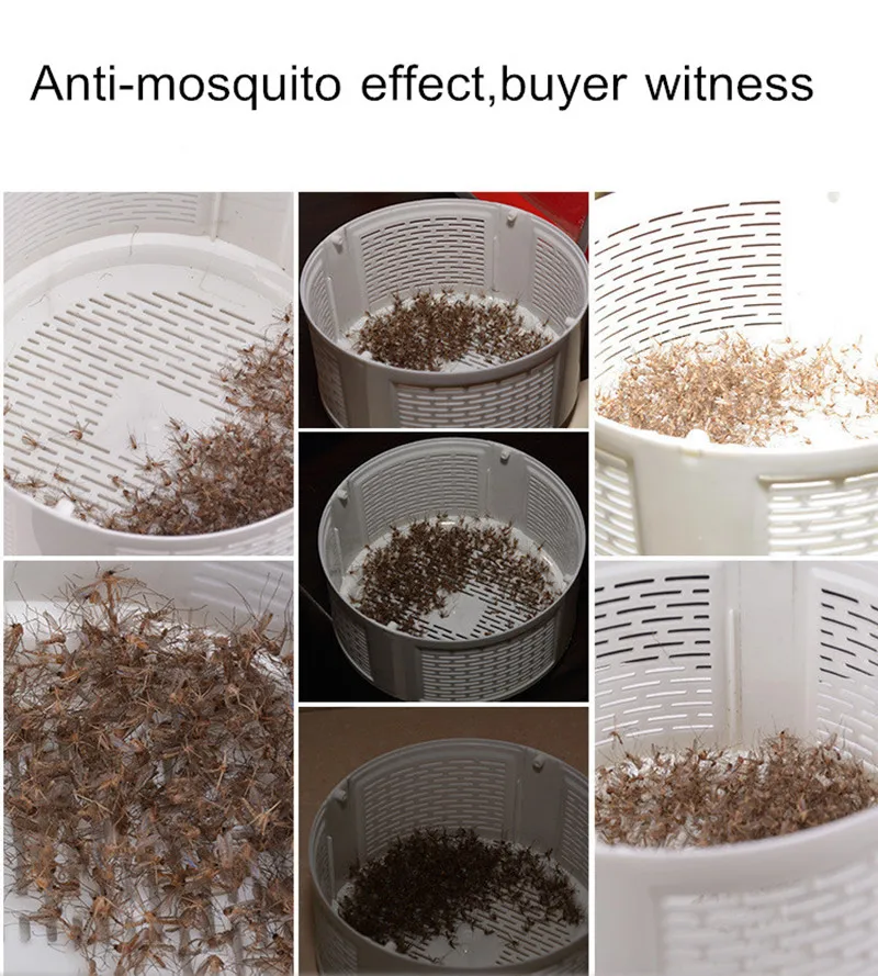 mosquito_