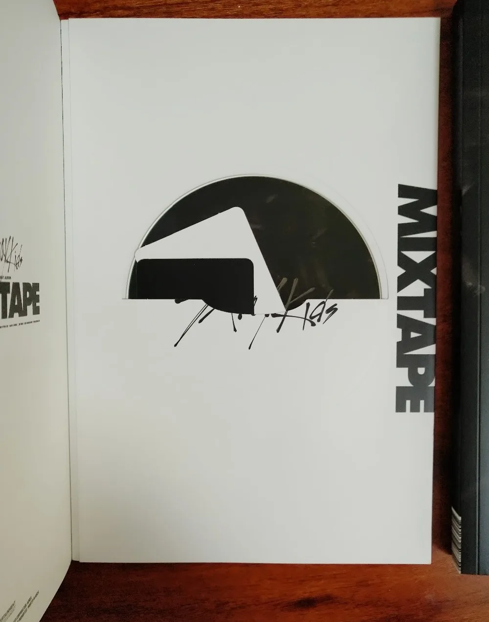 stray kids   (13)