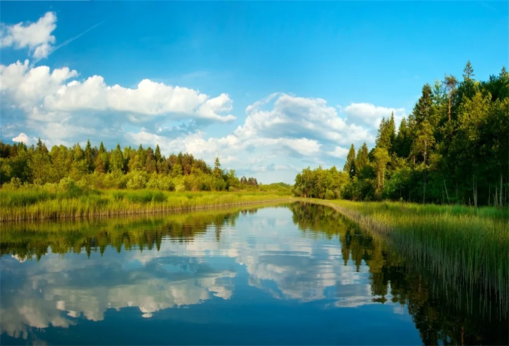 

Laeacco Forest Trees River Blue Sky Clouds Scenic Photography Backgrounds Customized Photographic Backdrops For Photo Studio