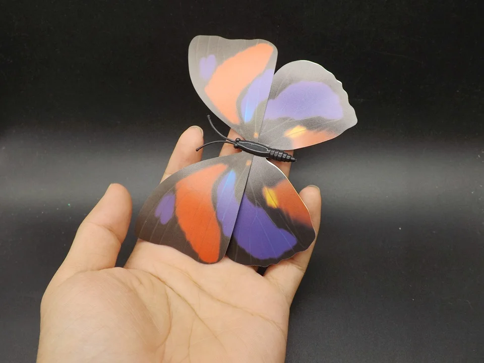 I240-Butterfly (2)