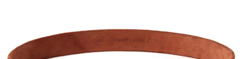N17FJ291 (30)
