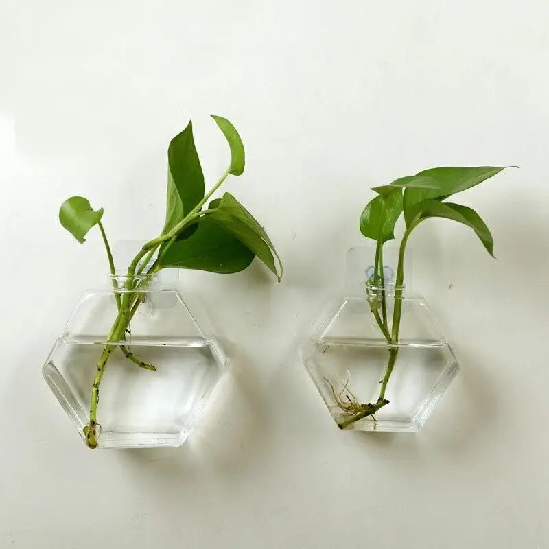 

Hanging Glass Vase Decorative Fish Terrarium Flower Planter Container Diameter 12x13/15x16cm Home Decor Hexagonal Wall Sticked