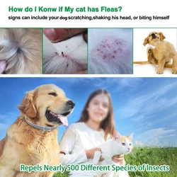 Pet Cat Dog Heathy Collar Natural Essential Oils for Anti Flea Mosquito Tick Non-toxic Pet Dog Collar for Summer Outdoor Travel Pet Cat Dog Heathy Collar Natural Essential Oils for Anti Flea Mosquito Tick Non-toxic Pet Dog Collar for Summer Outdoor Travel