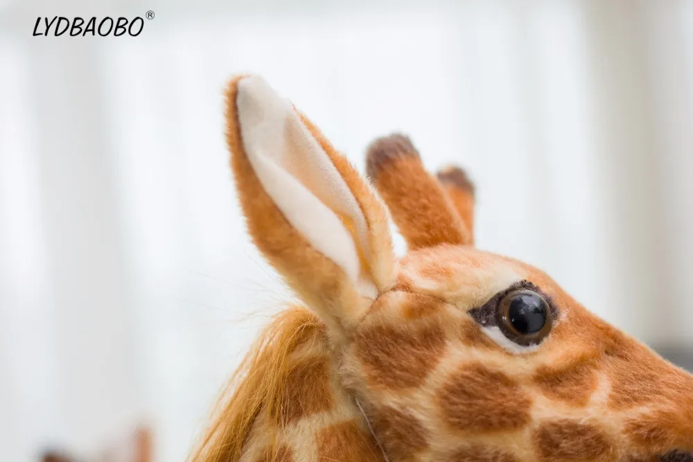 HTB1u6OMa7fb_uJkSnhJq6zdDVXaH