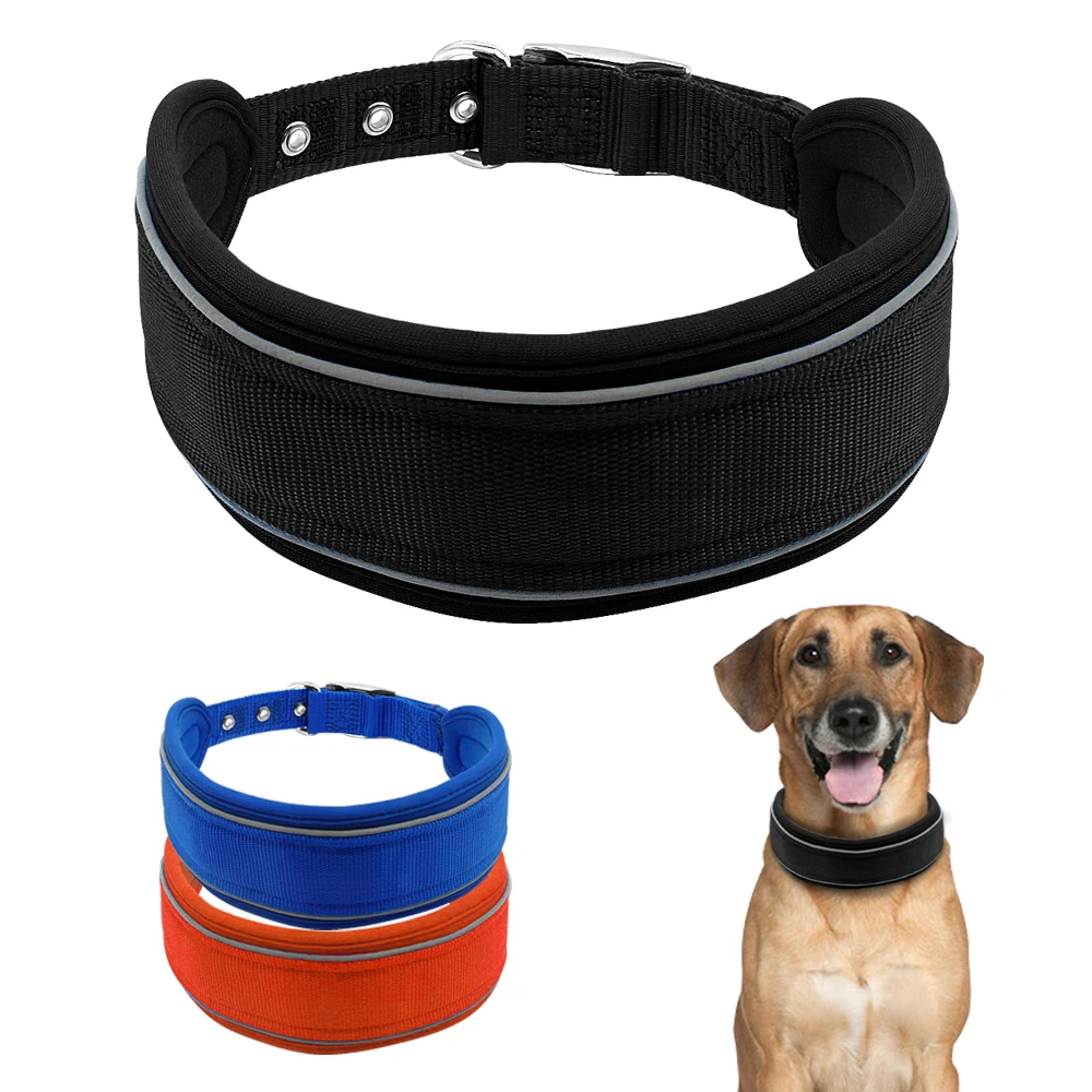 soft collar for dogs orange reflective collar reviews shopping orange reflective collar soft collar for dogs orange reflective collar reviews shopping orange reflective collar