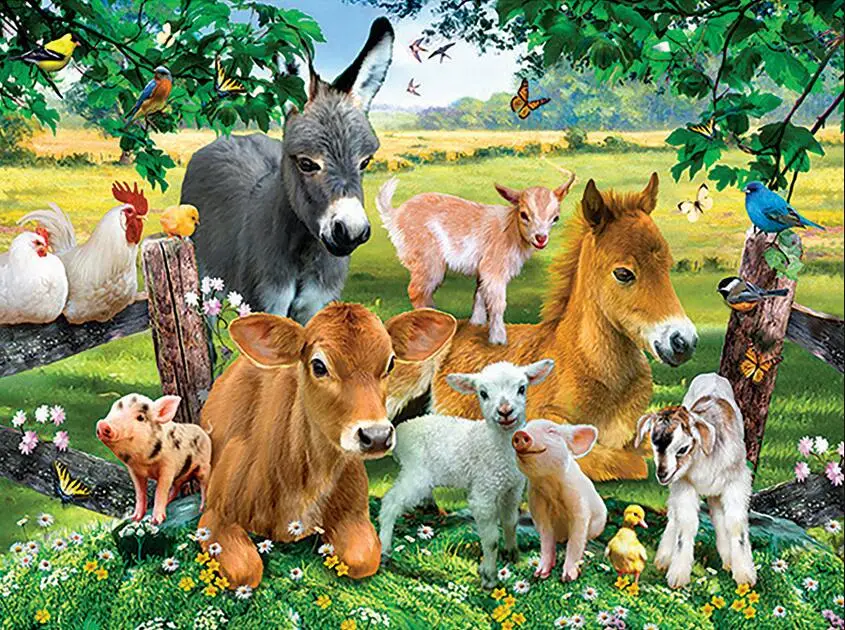 horses pigs