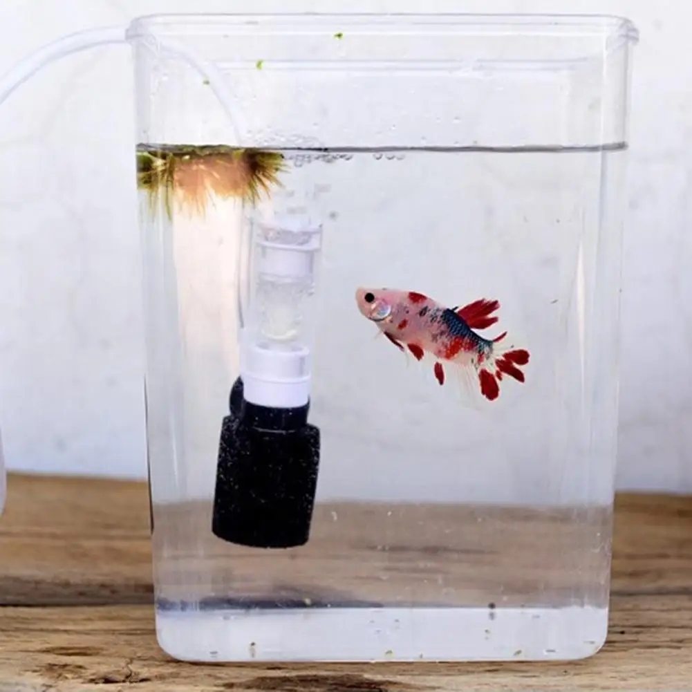 

Home Fish Tank Filter Aquarium Ultra Silent Mini Water Pneumatic Filter For Small Fish Tanks Aquarium Accessories