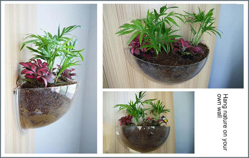20181117_181447_030
