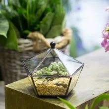 Europe Handmade Jewel-boxed Garden Planter Glass Geometric Terrarium Succulent Fern Flowerpot Balcony Bonsai Plants Flower Pot