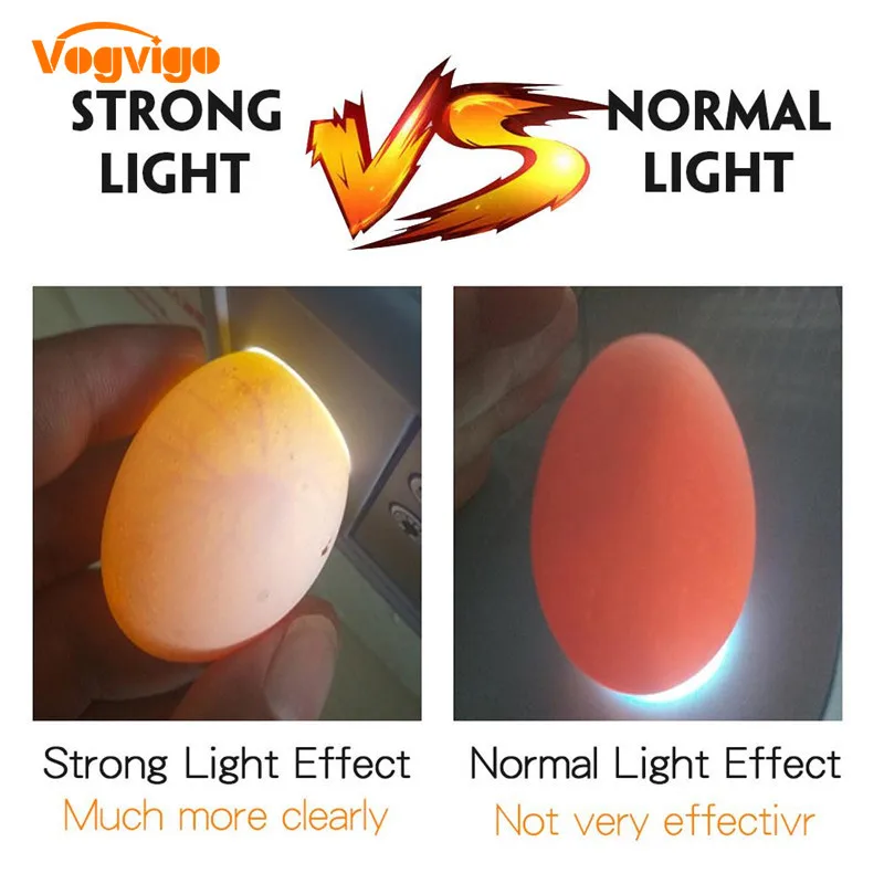 12pcs hole Digital Egg Incubator For Chicken Duck Temperature Control Automatic Turning/Chicken Hatcher encubadoras para pollos 12pcs hole Digital Egg Incubator For Chicken Duck Temperature Control Automatic Turning/Chicken Hatcher encubadoras para pollos