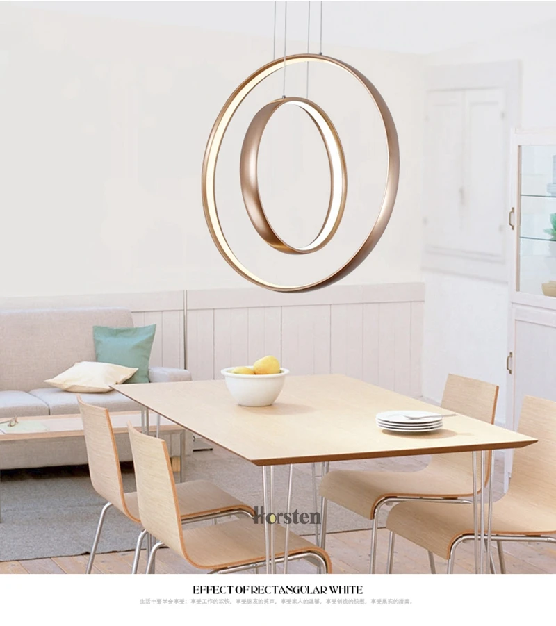 Nordic Creative LED Pendant Lights Lamp Minimalist Aluminum Double Ring LED Hanging Lighting For Dining Room Bar Cafe (5)