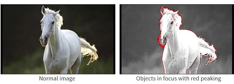 Peaking Focus Assist