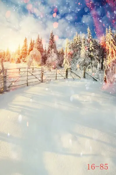 

SHANNY Vinyl Custom Photography Backdrops Prop Digital printed Winter theme Photo Studio Background 16-85