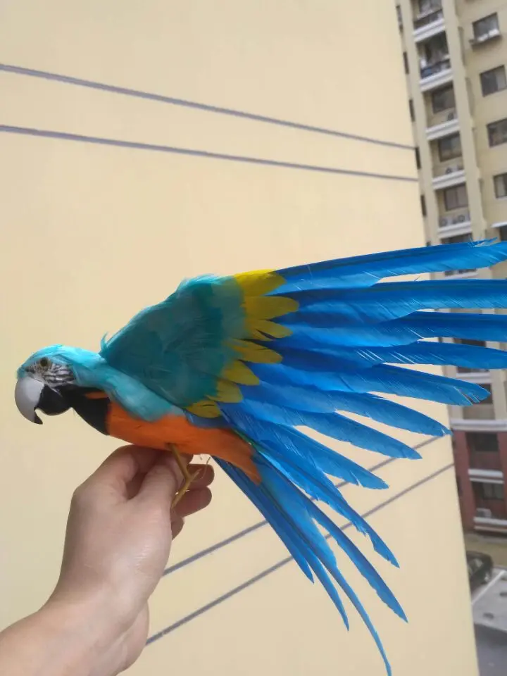 Симпатичные Моделирование синий и Orange попугай игрушки Пластиковые и мех крылья попугай модель подарок около 45x30 см