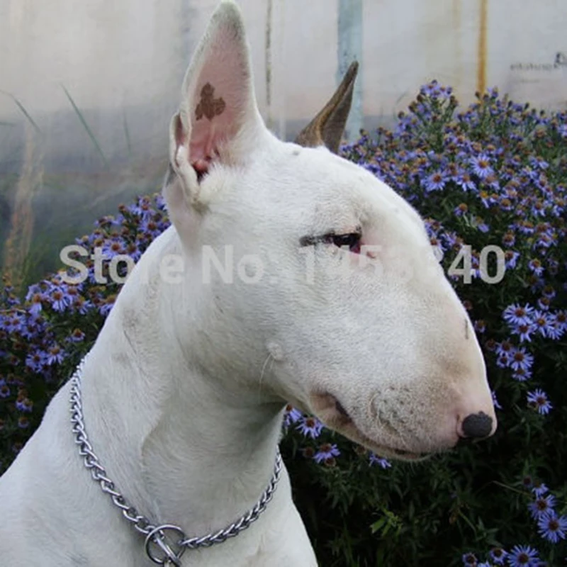 Wholesale Bull Terrier Jewelry Plating Silver Cuddle Ring Great