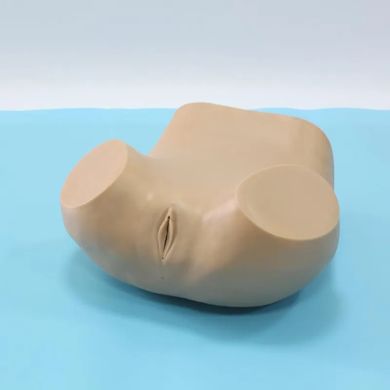 

BIX-FL Advanced Gynecological Examination training Simulator W060