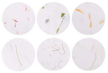 

200pcs/lot Vintage Natural Plants series Manual DIY Multifunction Kraft letter paper