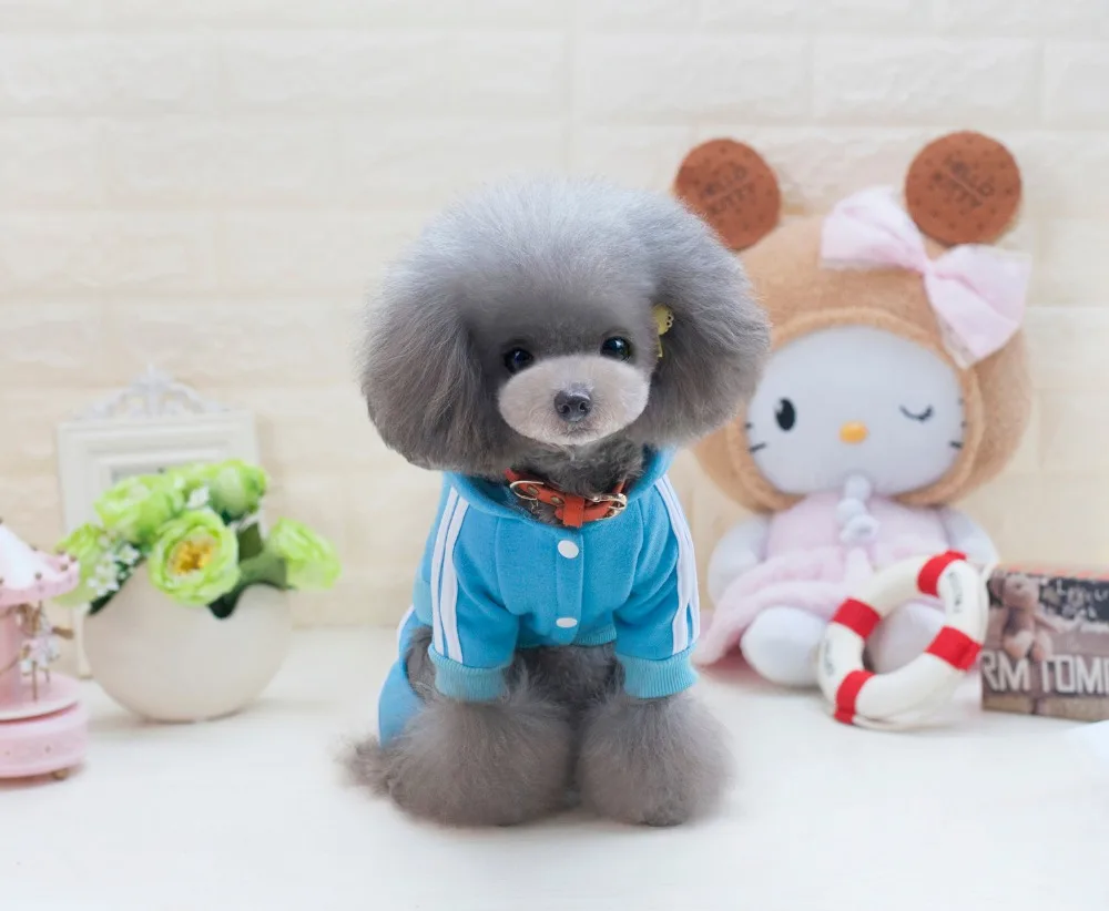 Y73_New_Pet_Cat_Dog_Costume_Clothes_Cartoon_Bear_Puppy_dog_4_Legs_Jumpsuits_Autumn_Pet_Hoodie_Rompers_Coat_Clothing_ (16)