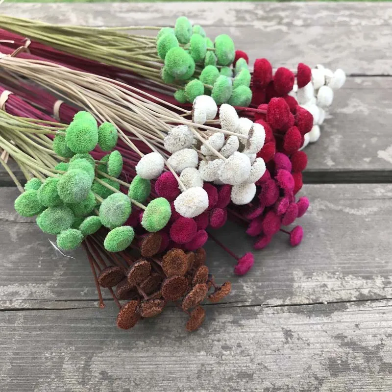 

Length20-25CM Dried Natural Julipe Flower Bouquet,Small Button Flowers Branches For flores secas naturales Decoracion,Home Decor