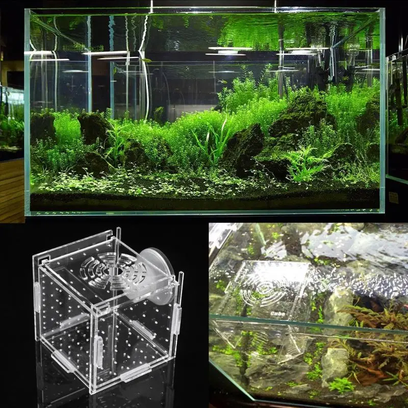 

Aquarium Fish Breeding Isolation Box Baby Fish Incubator Hatch Breeder Fish Tank new