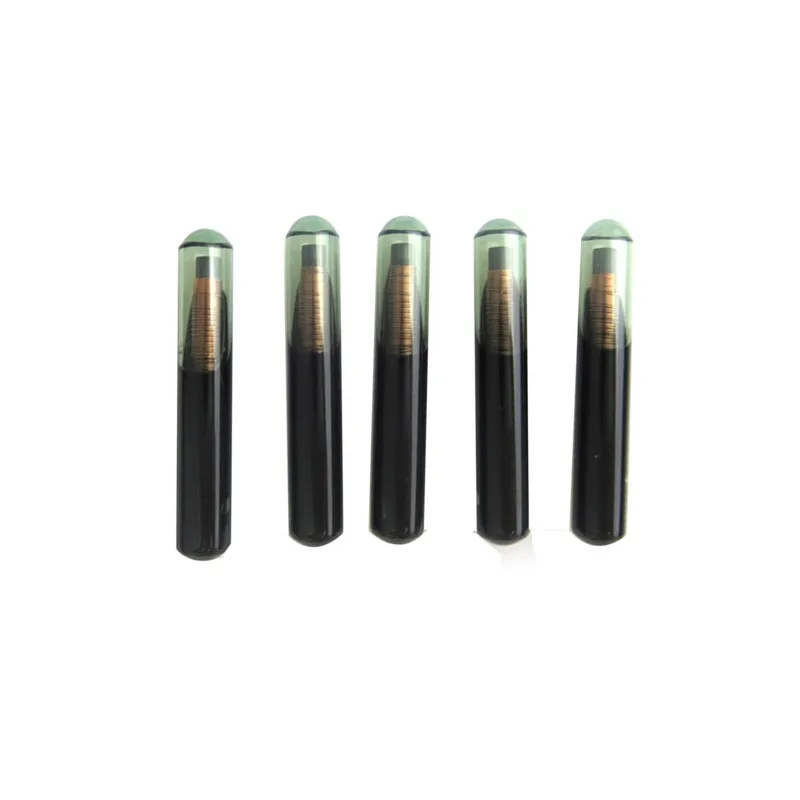 

4D60 80Bit transponder chip 4D60 glass for car remote key High quality for F-o-r-d ID4D60 10PCS