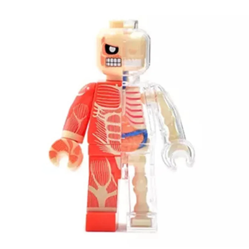 

4D XXRAY BRIAN Perspective Skeletal Anatomy BFF Original Fake Street Art Plastic Action Figure Model Toy BOX 13CM Z1495