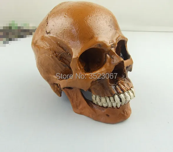  (1)