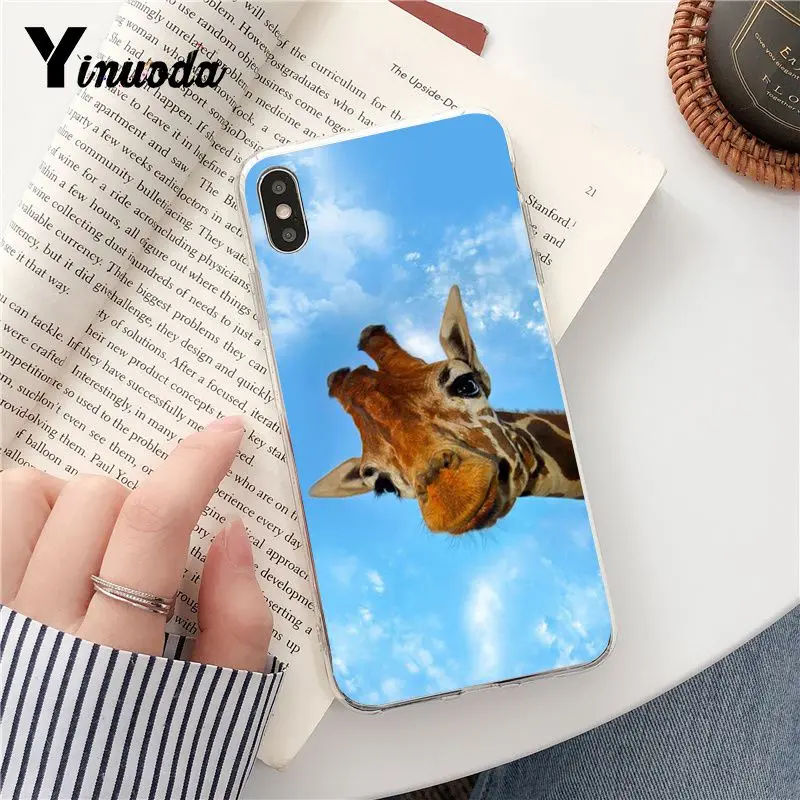 Wear Glasses Giraffe