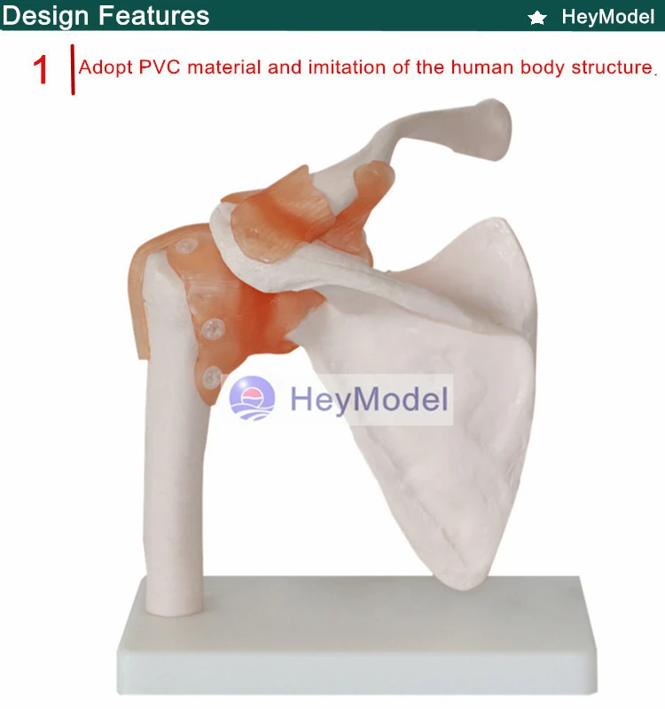 1.PVC_