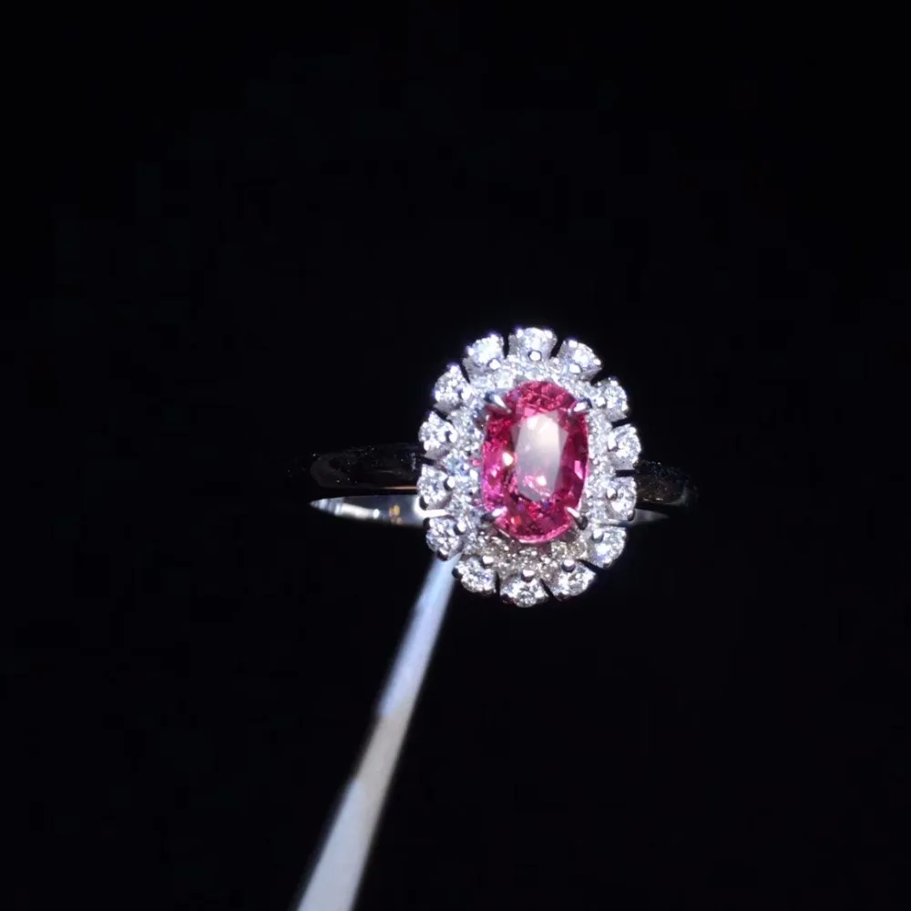 IMG_2739
