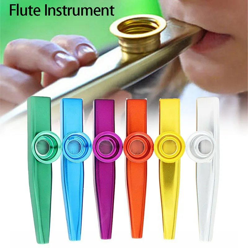 

Musical InstrumentS Zebra Metal Lightweight Portable Beginner Flute Instrument Music Lovers Woodwind Simple Design Lightweight