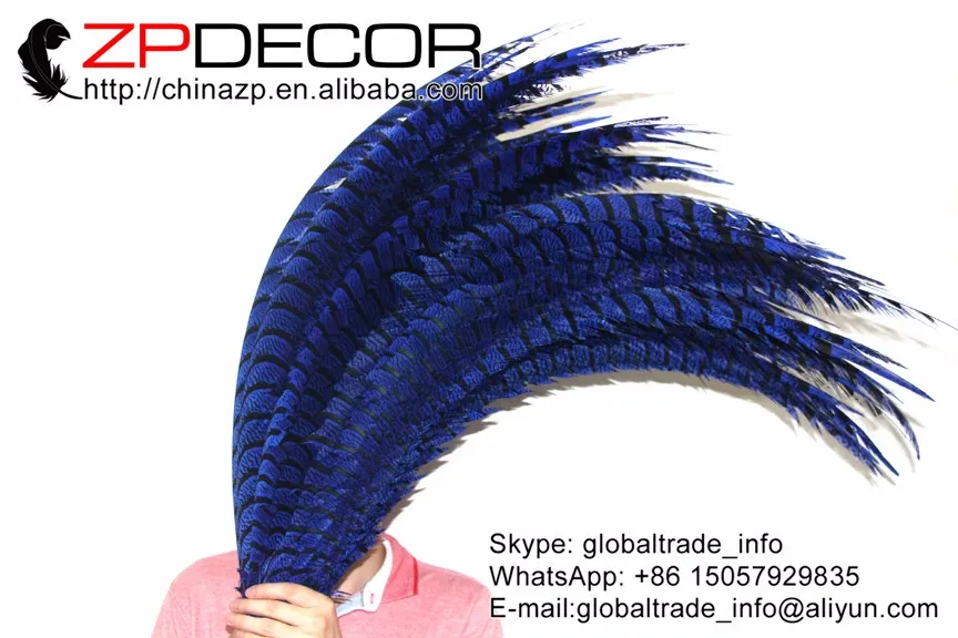 Long Feathers, 5 Pieces - 30-35  ROYAL BLUE ZEBRA Lady Amherst Pheasant Tail  (4)