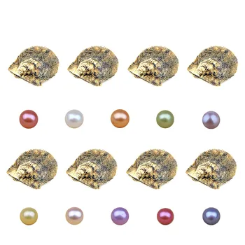 

10 pcs Pearl Oyster Saltwater Cultured Love Wish Pearl Oyster with 6-7mm 7-8mm Round Pearls Inside(Random Color)