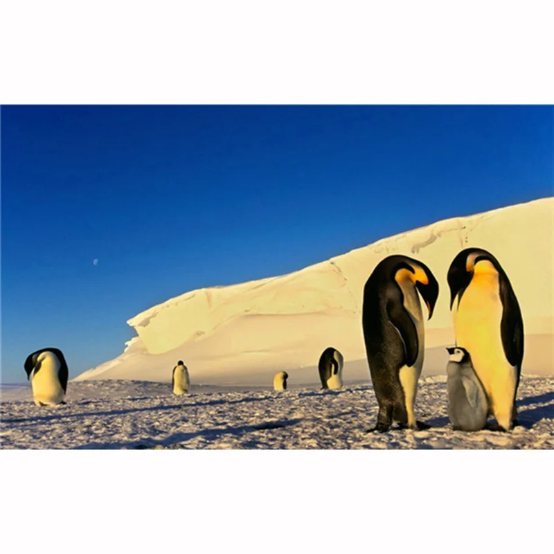 

YIKELA Penguin Animal Diamond Painting Accessory Full Drill Square 5D Diy Diamond Embroidery Decoration Handmade Kids Gift