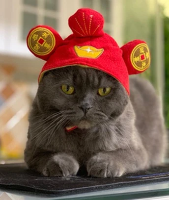Lovely Pet Cat Dog Cap Costume Headwear Accessory Goods Funny Wig For Kittens Chihuahua Poodle Grooming Soft Pet Headgear New (1)