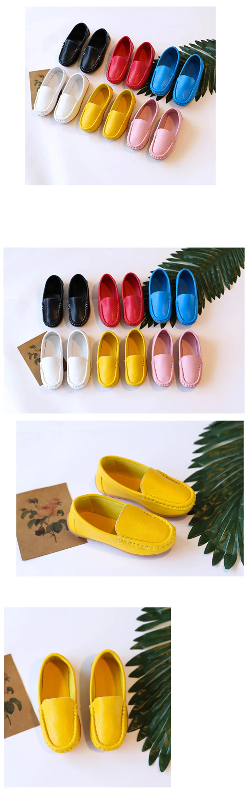 4865186097_1363171937_