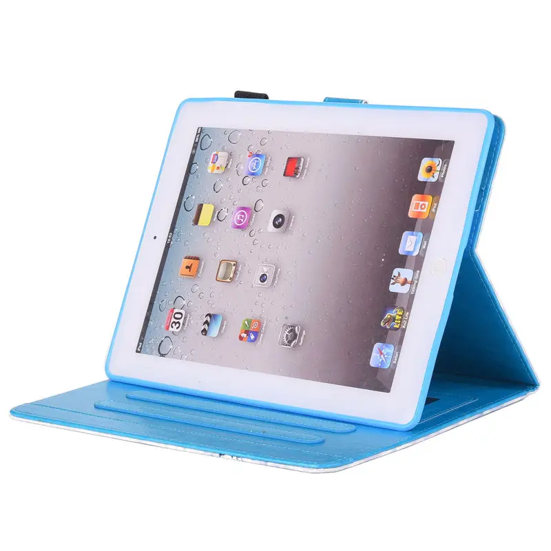 IPAD234 (76)