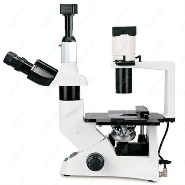 Inverted Tissue Culture Microscope AmScope Supplies 40X 600X Advance