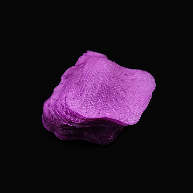 C31-C04purple (1)