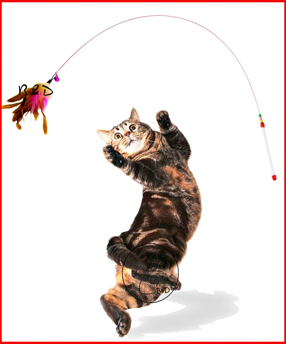 Free Shipping cat teaser toys, interactive cat toys, toys for cat, pet