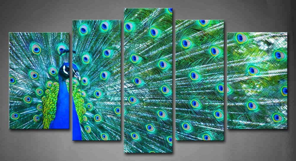 

Framed Wall Art Pictures Blue Peacock Canvas Print Artwork Animal Modern Posters With Wooden Frames For Living Room