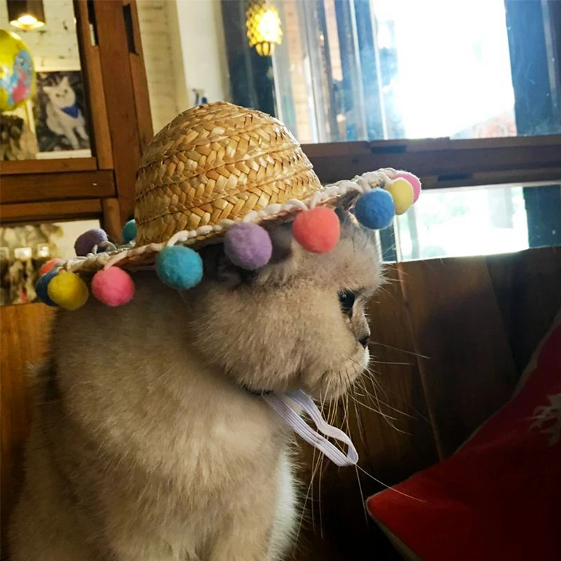 TB2PIIzwxWYBuNjy1zkXXXGGpXa_!!1073164501