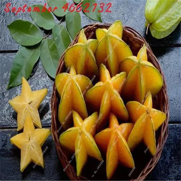 

10pcs New Arrival!Rare Carambola fruit bonsai DIY home garden Flowers for home garden Free Shipping Survival rates