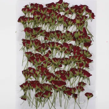 

Chinese Rose Bud Dried Flowers For Press Flower Painting DIY Bookmark 30pcs